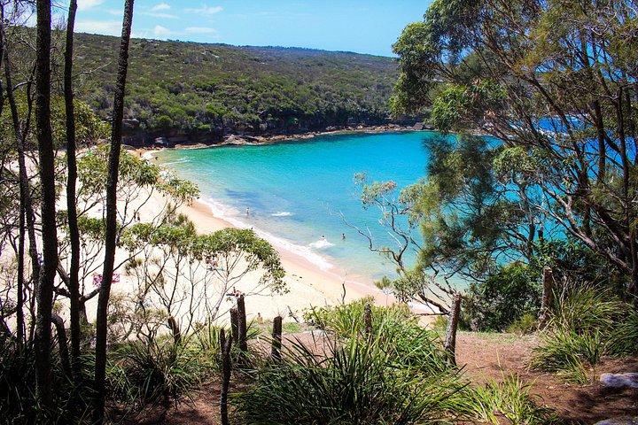 South Coast Private Tour | Fully Customizable, Highlands Option