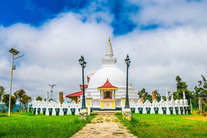 Trekking til Single Tree Hill i Nuwara Eliya