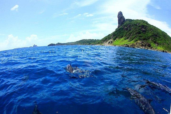 Bådtur i Fernando de Noronha