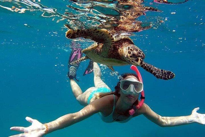 Bådtur i Fernando de Noronha