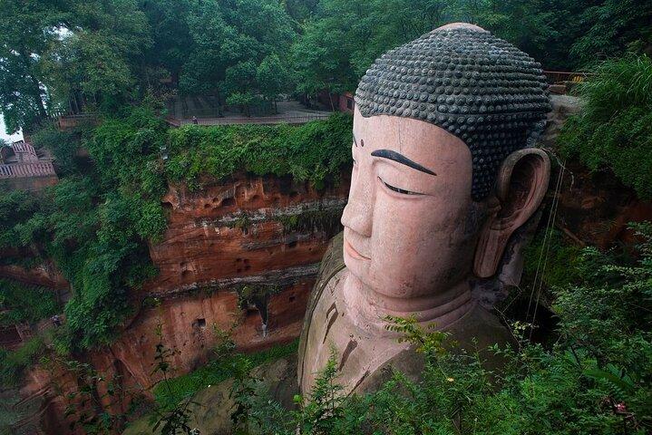 Chengdu Private Day Trip: Die Forschungsbasis von Giant Panda & Leshan Giant Buddha