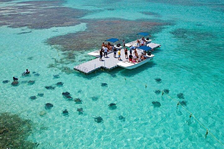 Stingray Ville