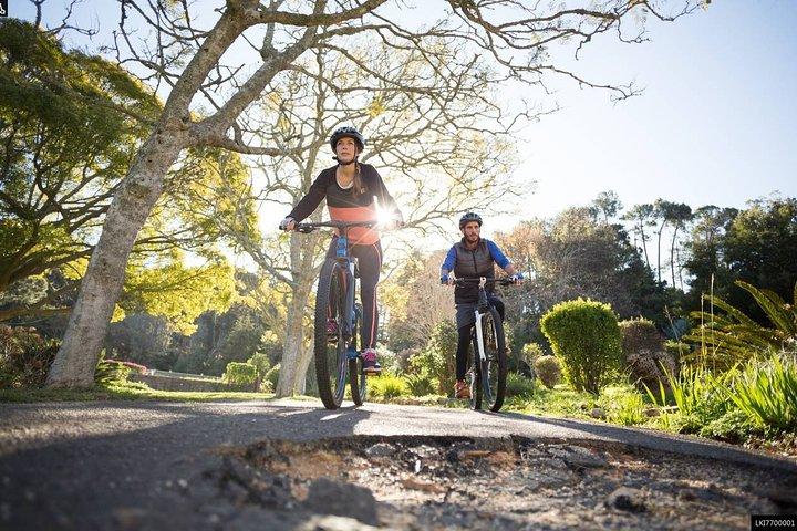 Visite à vélo des empreintes de pas néerlandais au départ de Colombo
