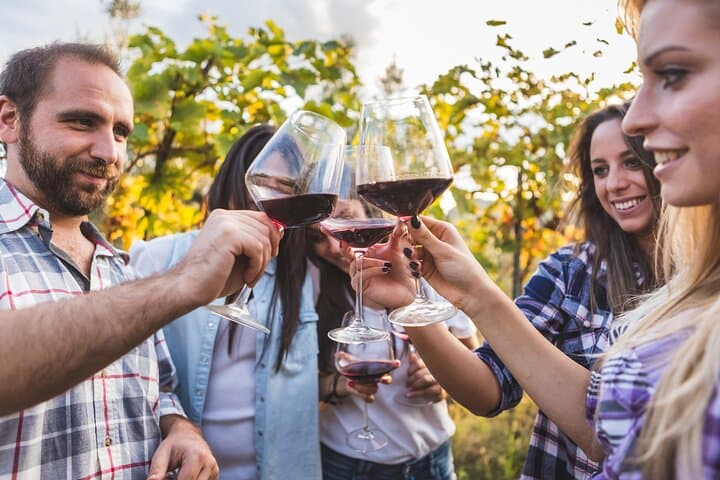 Rome: Frascati Private Day Trip - Town Tour, Lunch & Wine Tasting