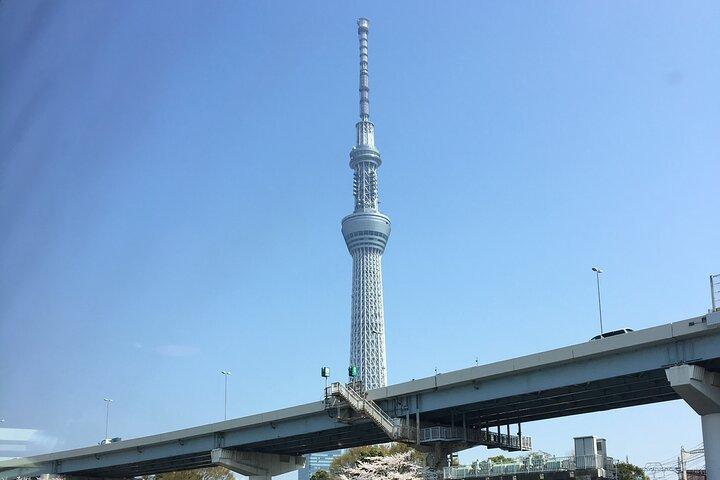 6時間ツアー東京ハイライト