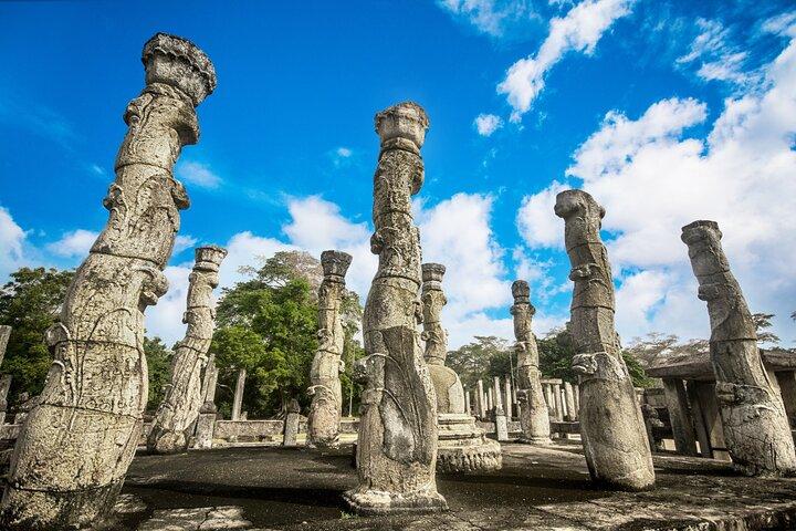 シギリヤからのポロンナルワ古代都市とハバラナ日帰りツアー