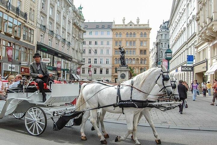 Private Tour durch Wien - Sightseeing, Essen & Kultur mit einem Einheimischen