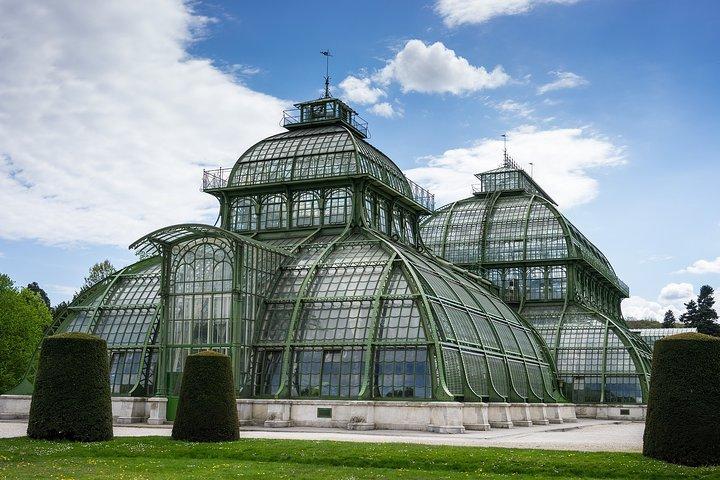 Ein architektonischer Einblick in Wien auf einer privaten Tour mit einem Einheimischen