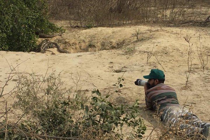 Taj Mahal Tagestour mit dem Keoladeo National Park Bharatpur