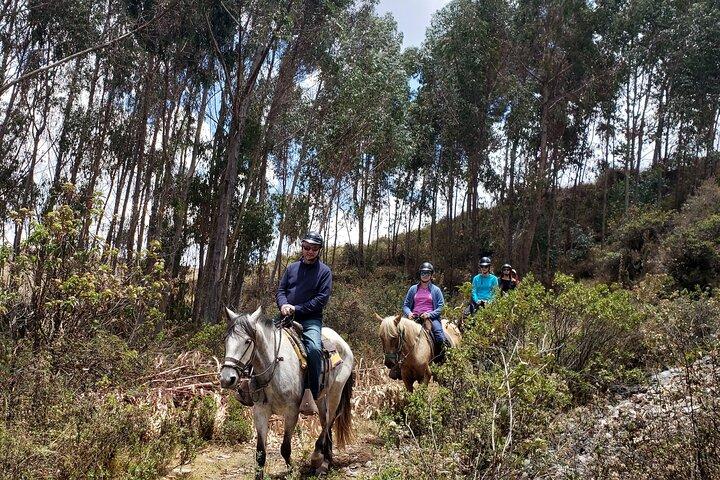 Private Reittour rund um Sacsayhuaman