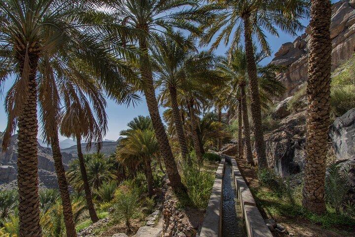 Från Muscat: Utflykt till Misfat Al Abriyeen och Jabal Shams Peak