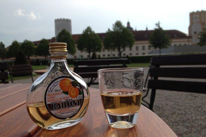 Viagem de um dia particular ao Vale Wachau e Abadia de Melk saindo de Viena com um morador