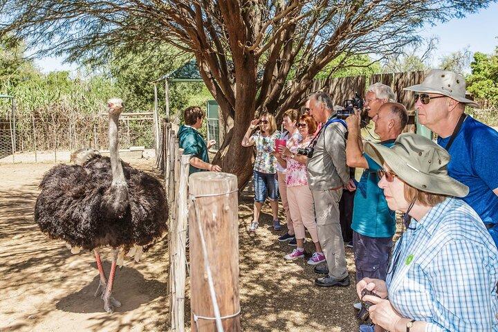 8 Tage Wild Coast und Garden Route Essentials