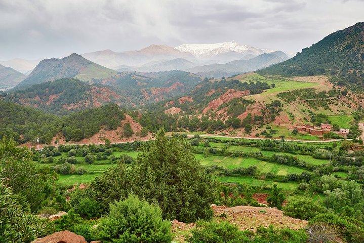 Parque Nacional de toubkal Ourika Valley Day Trip e Sunset Camel Ride