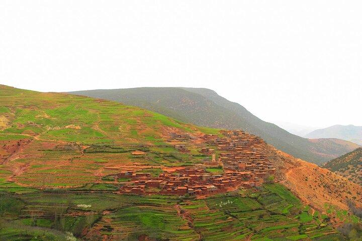 Marrakech: Atlas Mountains and 4 Valleys Tour