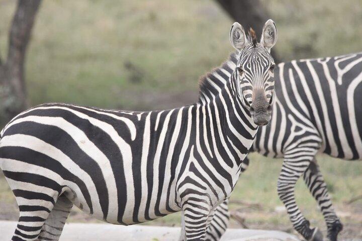 Sosta di Nairobi