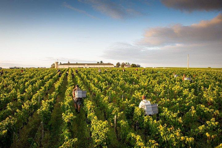 Saint-Emilion Private Full Day Wine Tour from Bordeaux