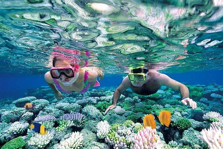 Descubra Isla Mujeres em catamarã. Buffet, Open Bar e Snorkel