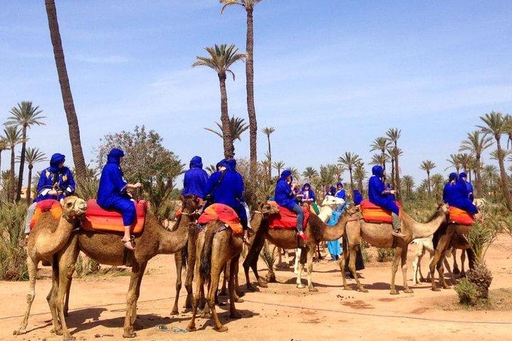Marrakech aktivitetspaket rabatt 3 för 2