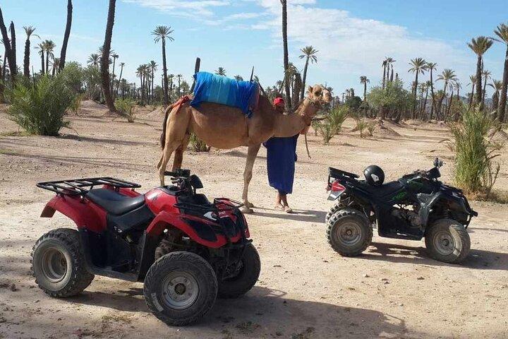 Marrakech aktivitetspaket rabatt 3 för 2