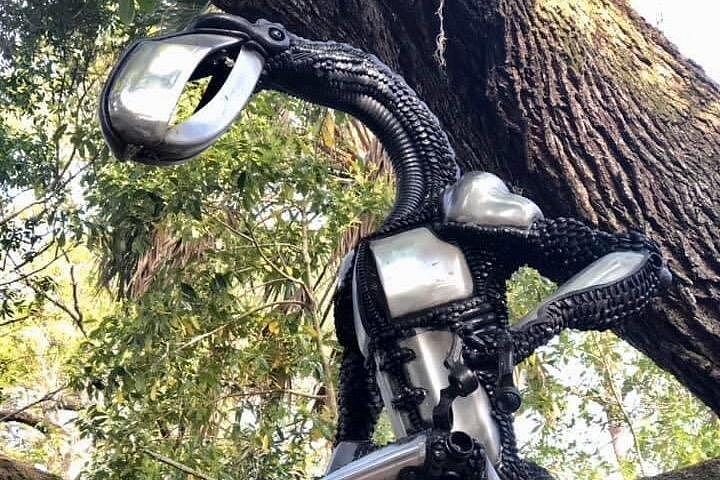 サンクトペテルブルク保護区自転車ツアー