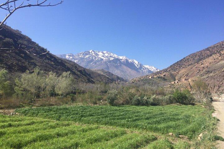Customized Day Trip from Marrakech - Choose Options