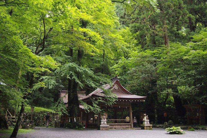 Kyoto Hiking Tour: The Nature and Legends of Kurama and Kibune