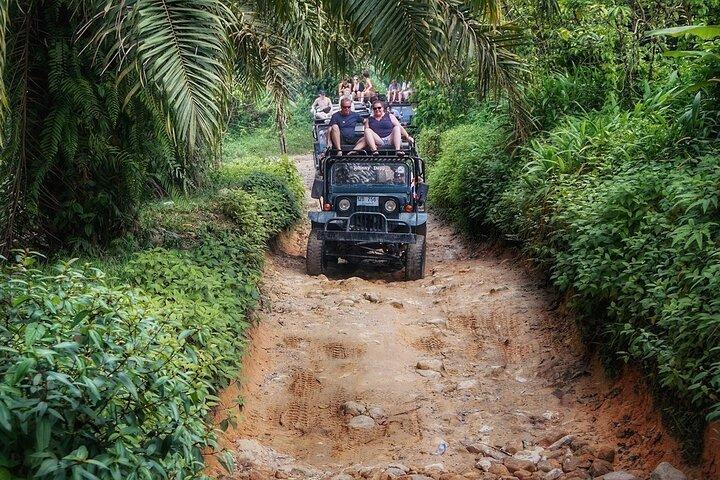 サムイ島 4WD ジープ サファリ小グループ ツアー (ランチ付き)