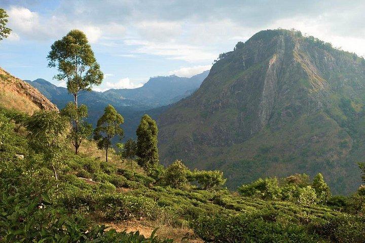 Misty Mountain Trails from Hikkaduwa (2 Days)