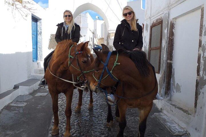 Santorini : Tour a caballo Megalochori con guía