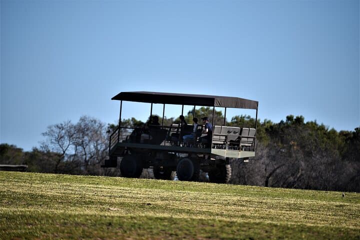 Private Tour : Africa Wild Safari West Coast Cape Town