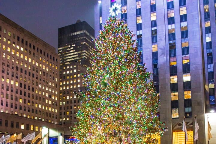 Private New York Christmas Tour with Driver and Guide