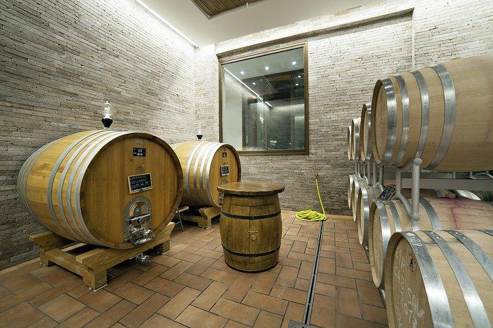 Tour exclusivo de cata de vinos y bodega para grupos pequeños en Frascati
