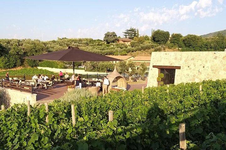 Tour exclusivo de cata de vinos y bodega para grupos pequeños en Frascati