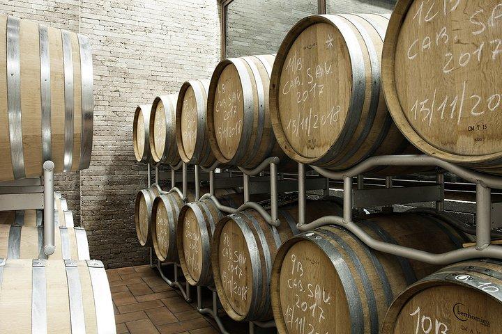 Tour exclusivo de cata de vinos y bodega para grupos pequeños en Frascati