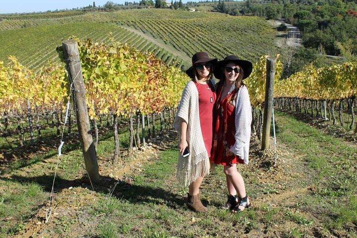 Visite privée d'une demi-journée: expérience viticole du Chianti Classico.