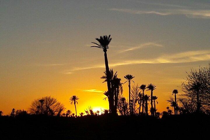 Sunset Camel Ride i Palm Grove i Marrakech