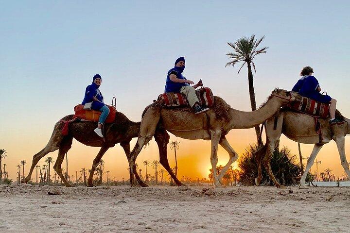 Sunset Camel Ride i Palm Grove i Marrakech