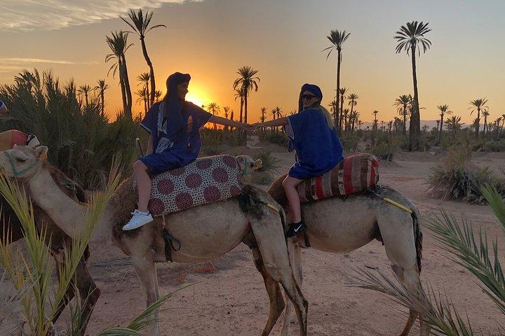 Sunset Camel Ride i Palm Grove i Marrakech