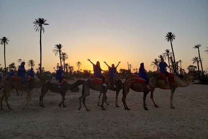 Sunset Camel Ride i Palm Grove i Marrakech