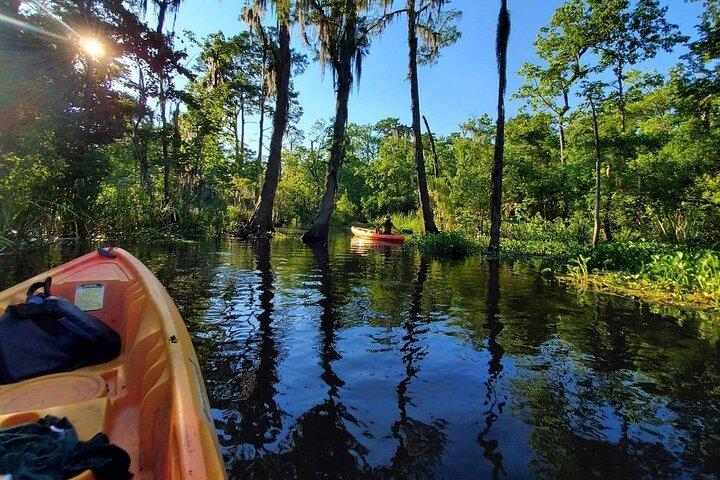 Small-Group Manchac Swamp Kayak Tour
