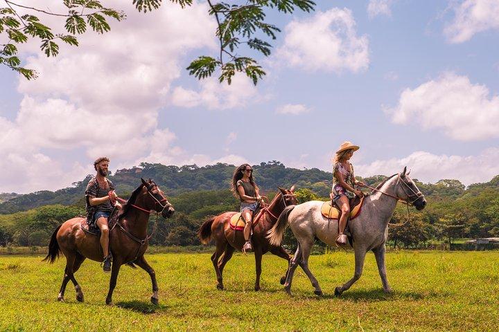 Equitazione alla spiaggia di Conchal da Tamarindo e Flamingo
