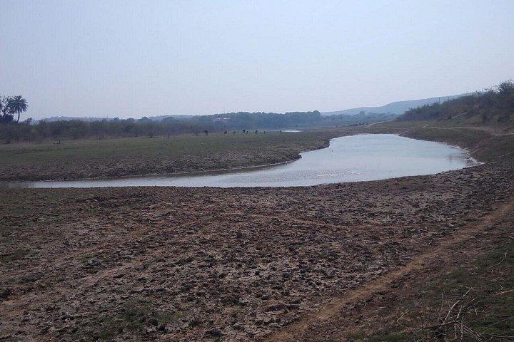 川サファリとアグラから国立シャンバル聖域への同じ日帰り旅行