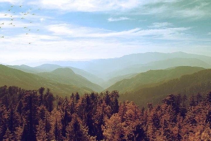 Trekking and overnight camp in Rishikesh