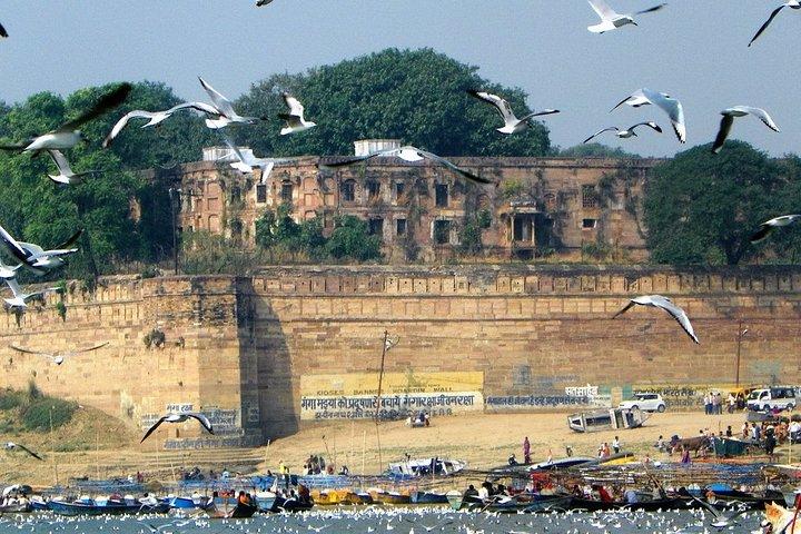Escursione ad Allahabad da Varanasi