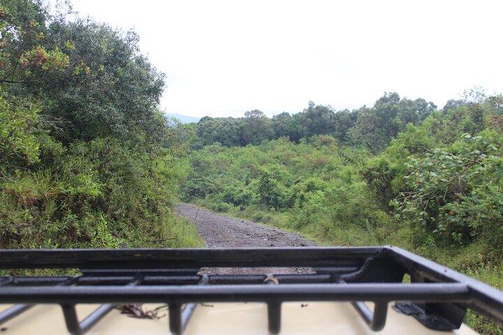 Tur i Arusha National Park
