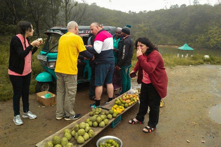 Nuwara Eliya da Negombo (2 giorni)