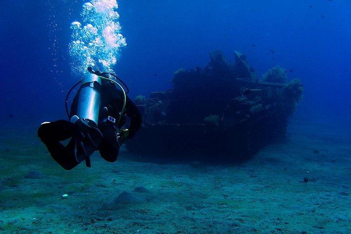 Introdução ao mergulho – Aqaba Coral Reefs