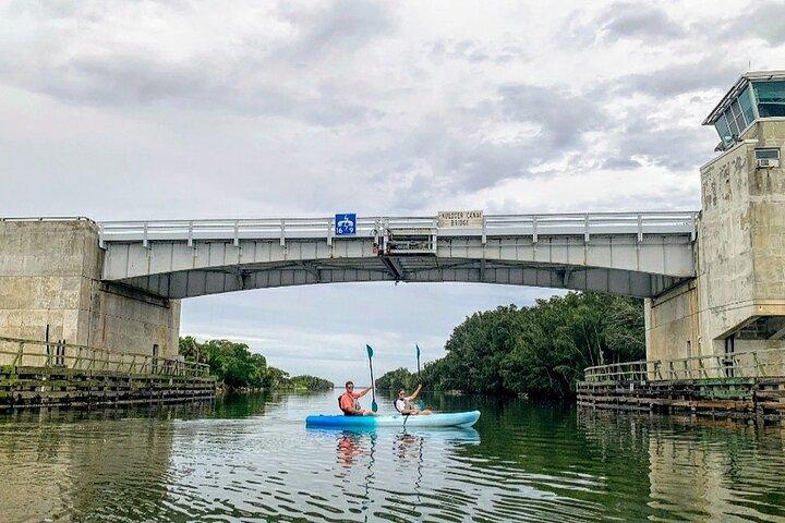 ワイルドライフ リフュージ マナティー、イルカ、マングローブ カヤックまたはパドルボーディング ツアー !