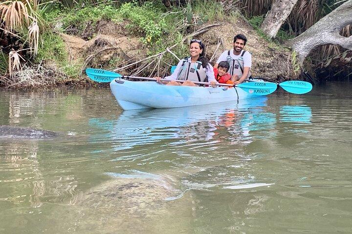 Wildlife Refuge Manatee, Dolphin & Mangrove Kayak oder Paddleboarding Tour!